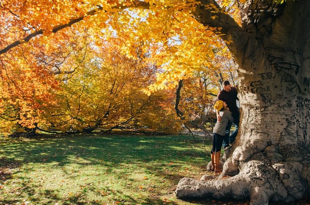 Though, in a not-so-seemingly way - I get you. For the Fall lovers out there - this ones for you. These budget-friendly fall date ideas are sure to spice up your relationship around the Holiday season (no pun intended).