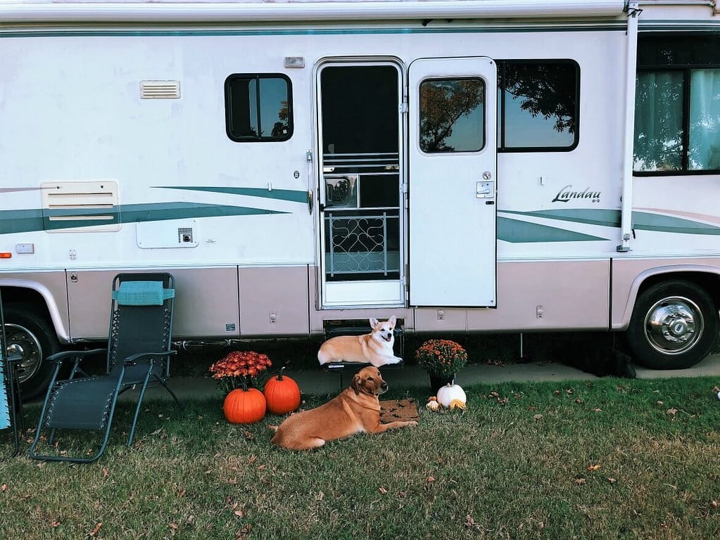 6 Tips When Traveling With Your Dogs | Travel tips for pet owners traveling with their dogs | When you're on the road with your pets, here are the best tips when traveling with your furbaby | Tips for dog owners | #dogs #traveltips | theMRSingLink