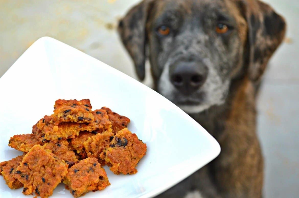 Pup-approved baked carrot and apple dog treats | Homemade dog treats | Dog treat recipes | Peanut butter dog treats | All natural baked dog biscuits | theMRSingLink