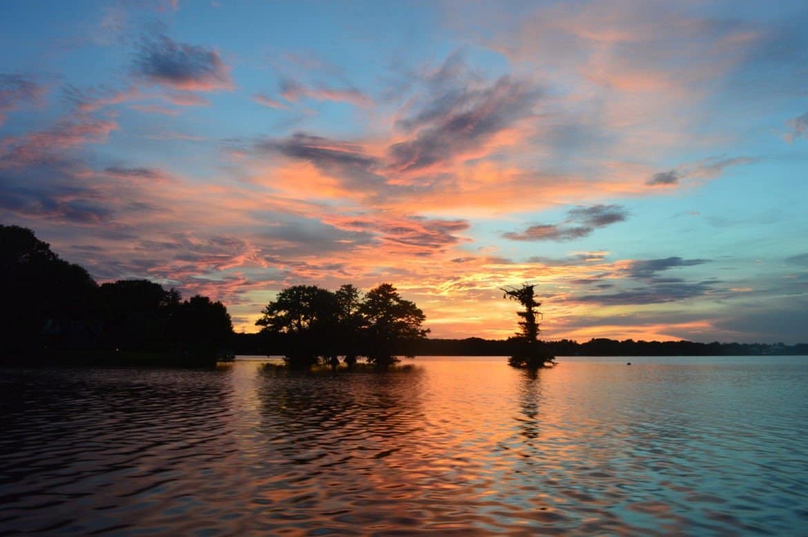 25+ Pet Friendly Travel Destinations In Orlando Florida 25+ Pet Friendly Travel Destinations In Orlando Florida | Pet Friendly Travel | Florida Travel With Fido | Traveling With Pets | Pet Friendly Places in Orlando Florida | theMRSingLink