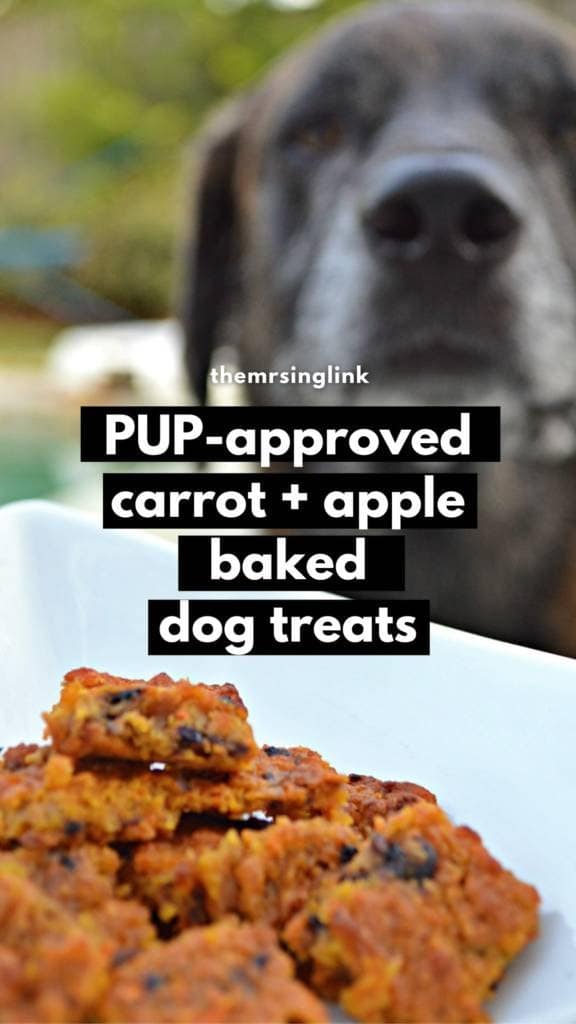 Pup-approved baked carrot and apple dog treats | Homemade treats for your furbaby | DIY dog treats with simple ingredients #dogtreats #dogmom #petrecipes