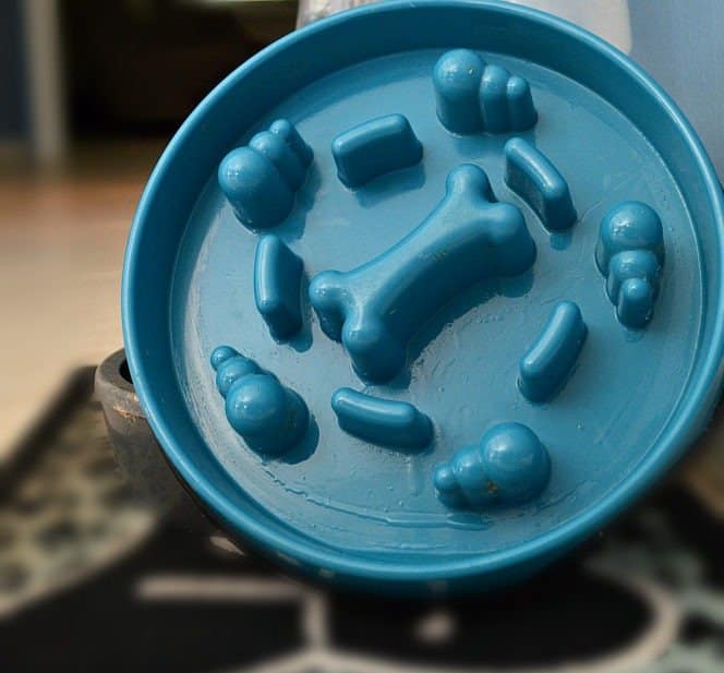 Life Saving Fast Eating Dog Bowl | How to prevent your dog from bloat | life saving tips for your pets | pet care tips | theMRSingLink