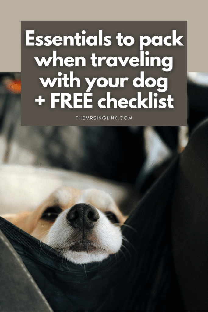 Travel essentials to pack for your dog when going on vacation (+ FREE checklist)