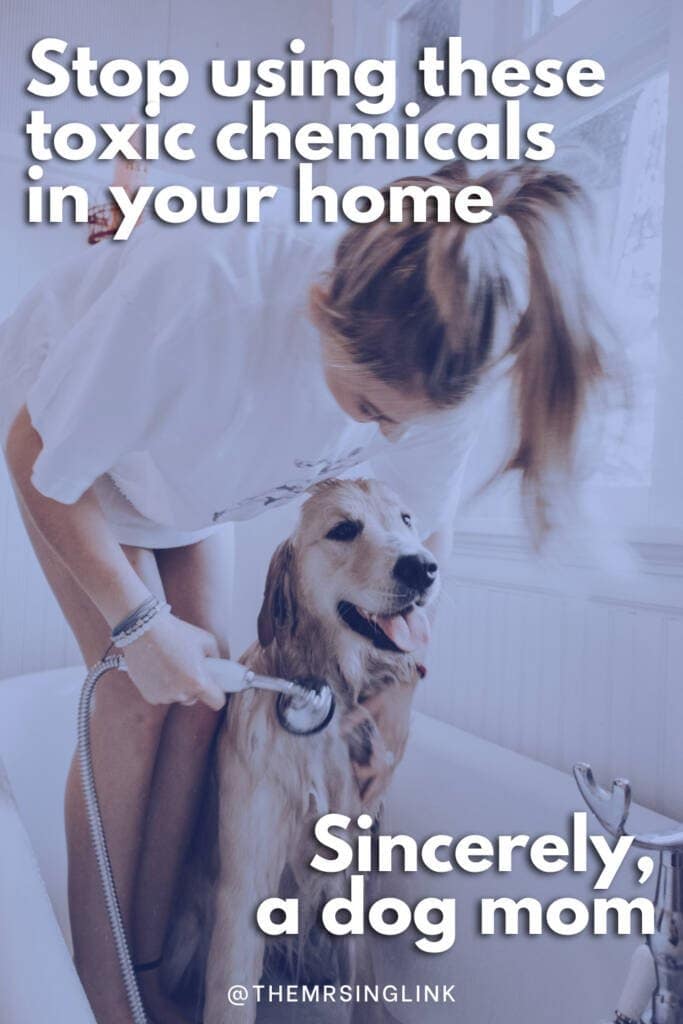 If you love your dog, stop using toxic chemicals in your home | After 10 years in the Vet industry, I've learned A LOT as a dog mom, much of which goes against the polished mainstream in the pet industry. If you knew exactly what's in most of the products you use around your home that are labeled "generally considered safe" and the ailments they can lead to AND cause you AND your pets, you just might change your mind and put quality of life superior to those fresh scents and pretty labels.