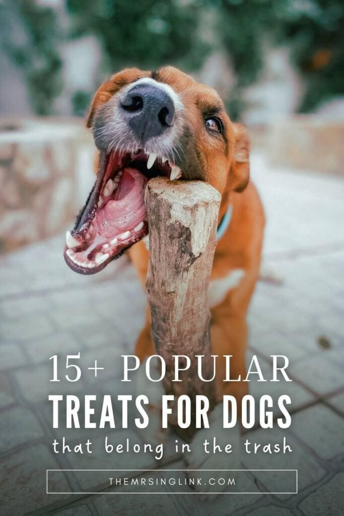 15+ Popular dog treats that belong in the trash | theMRSingLink LLC