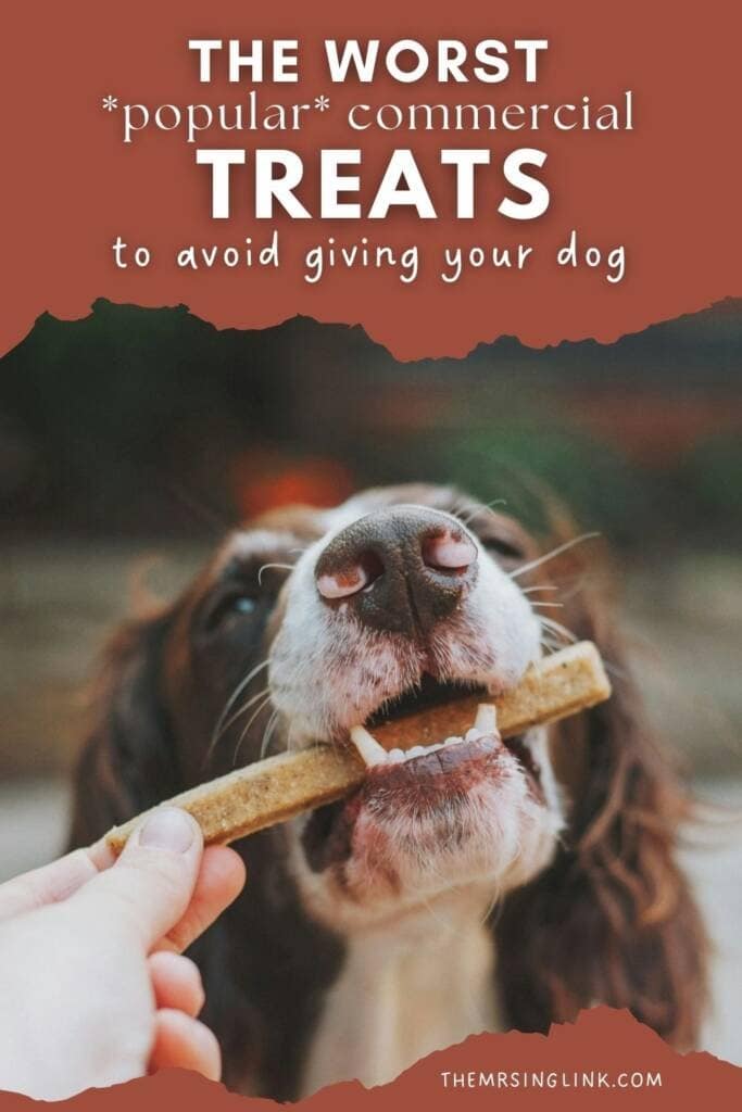 The worst popular commercial dog treats to avoid and that belong in the trash - sincerely, a concerned dog mom | theMRSingLink LLC #dogmom #doglife #petlifestyle #dogtreats