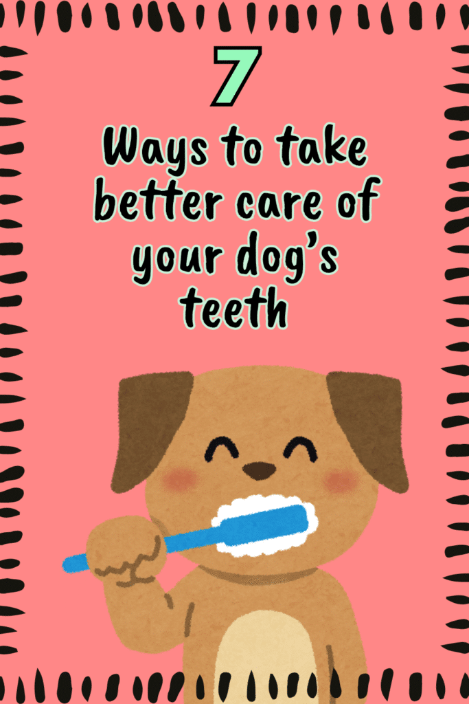 It's probably not something you would normally think about, but you do it everyday - so why shouldn't we take better care of our dog's teeth, too? February is Dental Awareness month - for dogs, too! And believe it or not, your dog's overall health can depend on the care of their teeth.