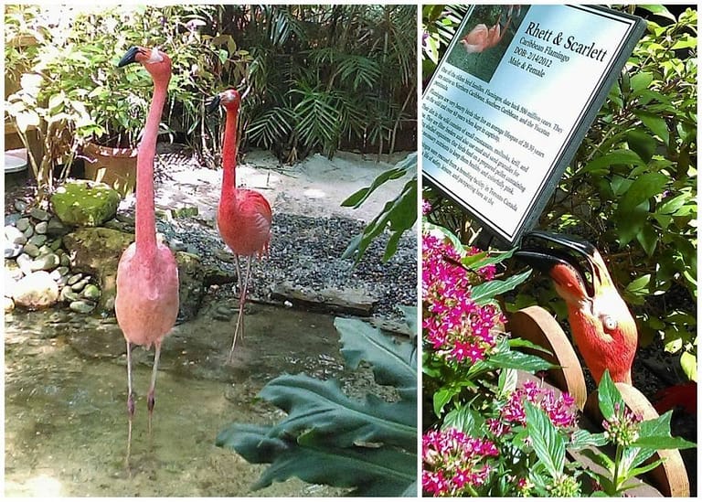 30+ Vacation Hot Spots In The Florida Keys | The best places to go in the Florida Keys | Vacation hot spots you must see when visiting the Florida Keys and Key West | #floridatravel | Florida travel tips | #keywest #floridakeys #travel | theMRSingLink