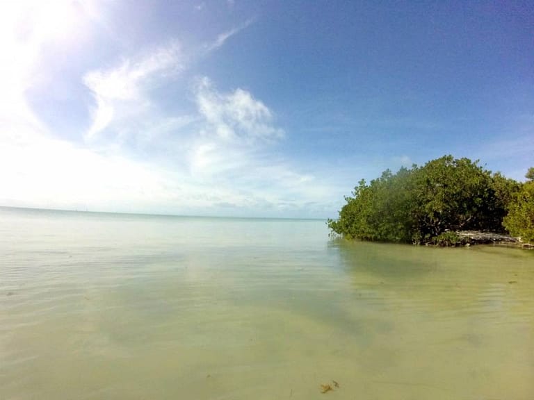30+ Vacation Hot Spots In The Florida Keys | The best places to go in the Florida Keys | Vacation hot spots you must see when visiting the Florida Keys and Key West | #floridatravel | Florida travel tips | #keywest #floridakeys #travel | theMRSingLink