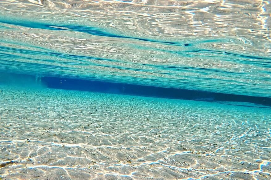 Day Trip To Silver Glen Springs Florida | Spend the day snorkeling Silver Glen Springs in Florida | The best snorkel spots in Florida | Outdoor Florida adventures | The best outdoor hot spots in Florida travelers must see | Summer vacation spots to visit in Florida | Things to do in Florida outside of Disney | #floridatravel #snorkeling #floridasprings #travel | Florida Travel Tips | theMRSingLink