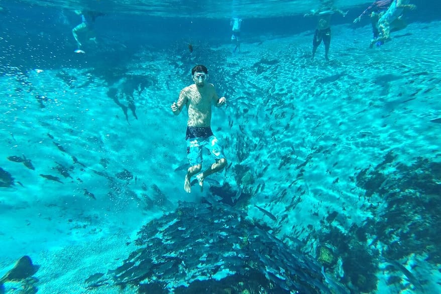 Day Trip To Silver Glen Springs Florida | Spend the day snorkeling Silver Glen Springs in Florida | The best snorkel spots in Florida | Outdoor Florida adventures | The best outdoor hot spots in Florida travelers must see | Summer vacation spots to visit in Florida | Things to do in Florida outside of Disney | #floridatravel #snorkeling #floridasprings #travel | Florida Travel Tips | theMRSingLink